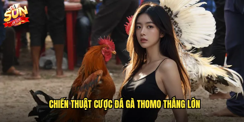Chiến thuật cược đá gà thomo thắng lớn
