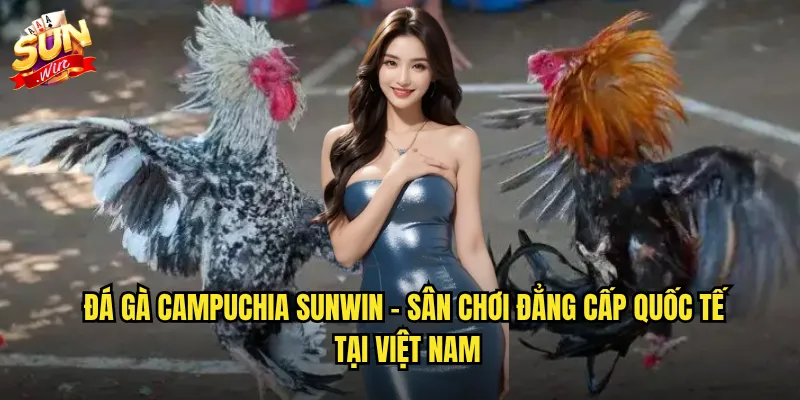 Đá gà campuchia sunwin - Trải nghiệm trường gà hàng đầu Đông Nam Á 2 Đá gà campuchia sunwin - Sân chơi đẳng cấp quốc tế tại Việt Nam
