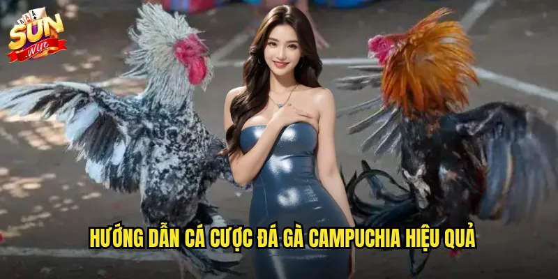 Đá gà campuchia sunwin - Trải nghiệm trường gà hàng đầu Đông Nam Á 3 Hướng dẫn cá cược đá gà campuchia hiệu quả