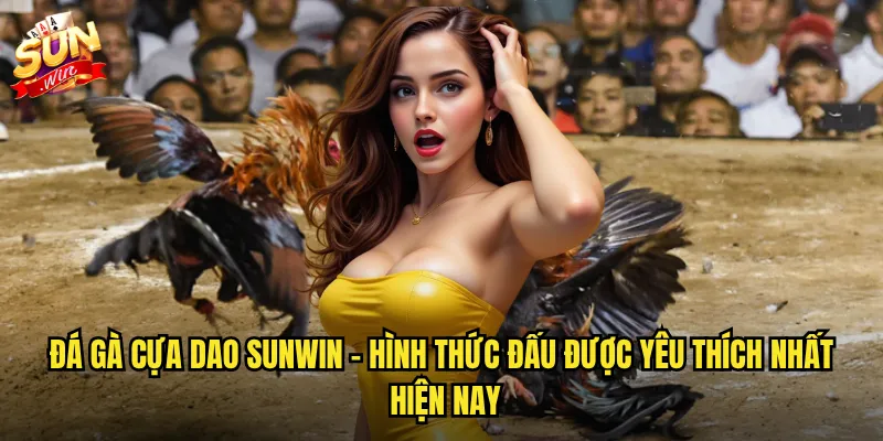 Đá gà cựa dao sunwin - Hình thức đấu được yêu thích nhất hiện nay