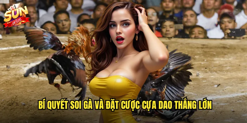 Bí quyết soi gà và đặt cược cựa dao thắng lớn