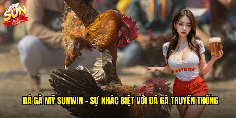 Đá gà mỹ sunwin - Sự khác biệt với đá gà truyền thống