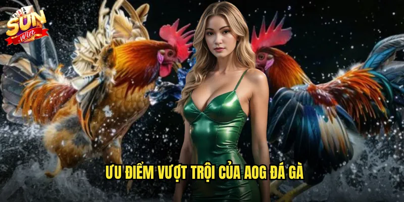 Ưu điểm vượt trội của AOG đá gà