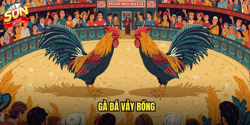 Gà đá vảy rồng sunwin - Giống gà quý hiếm với sức chiến đấu phi thường 9 gà đá vảy rồng