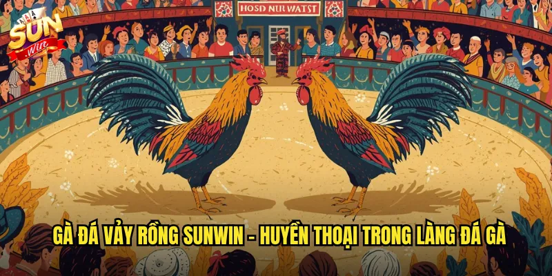 Gà đá vảy rồng sunwin - Huyền thoại trong làng đá gà