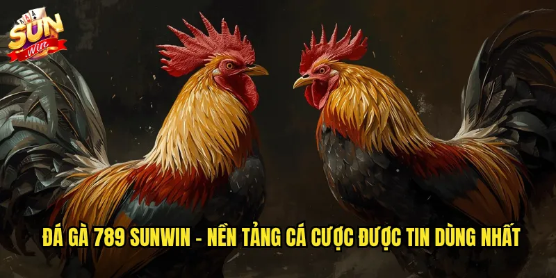 Đá gà 789 sunwin - Nền tảng cá cược được tin dùng nhất