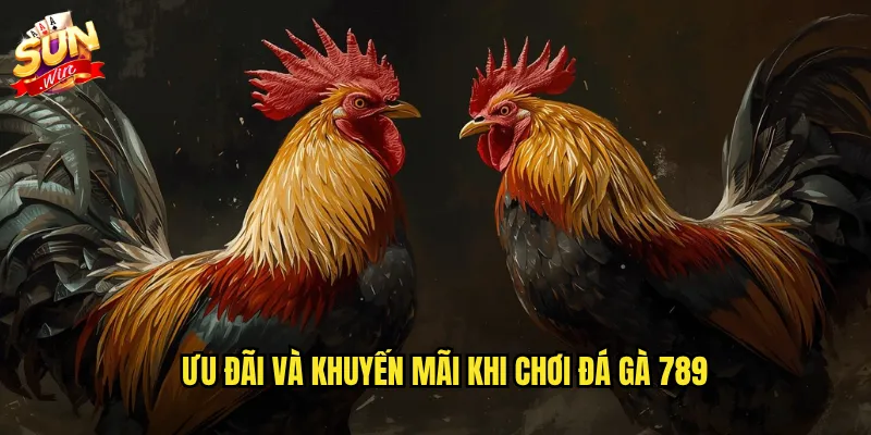 Ưu đãi và khuyến mãi khi chơi đá gà 789