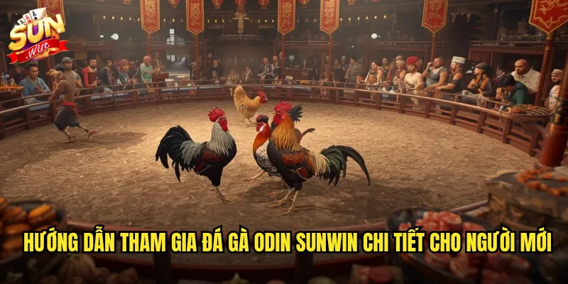 Hướng dẫn tham gia đá gà Odin Sunwin chi tiết cho người mới