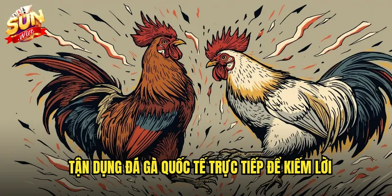 Tận dụng đá gà quốc tế trực tiếp để kiếm lời