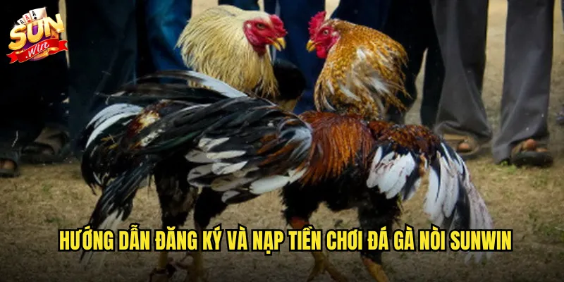Hướng dẫn đăng ký và nạp tiền chơi đá gà nòi Sunwin